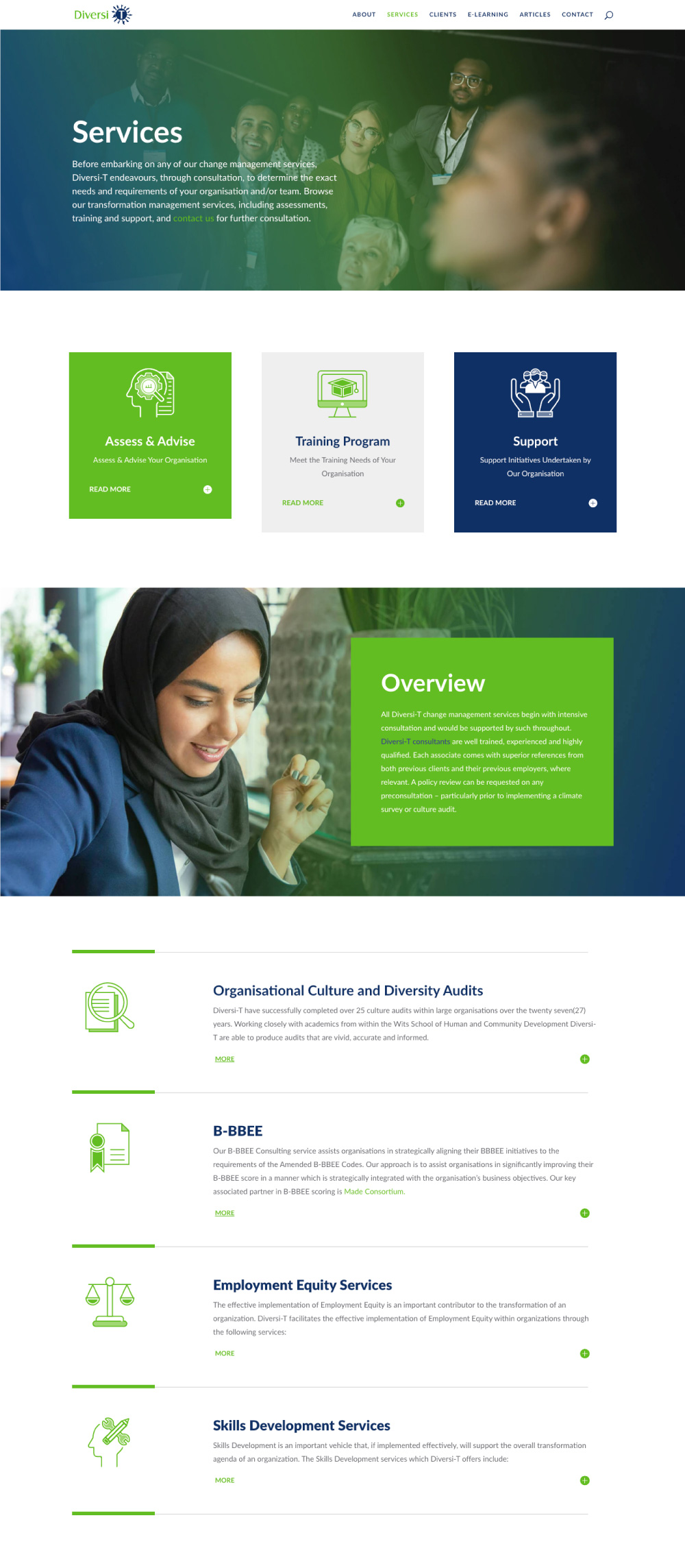Diversi-T_Responsive_Desktop