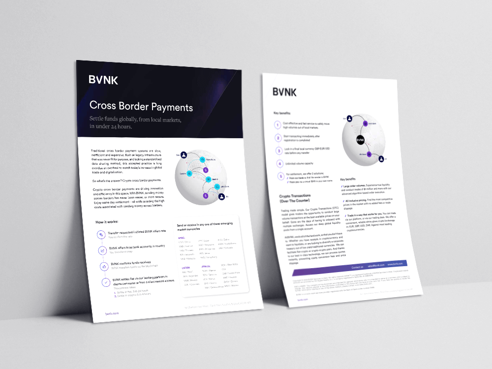 BVNK Fact Sheet BVNK Fact Sheet