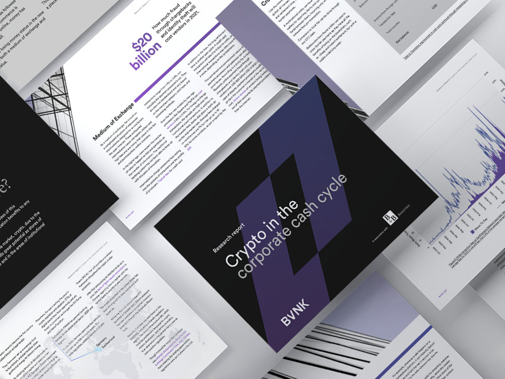 BVNK Research Report 2 BVNK Research Report